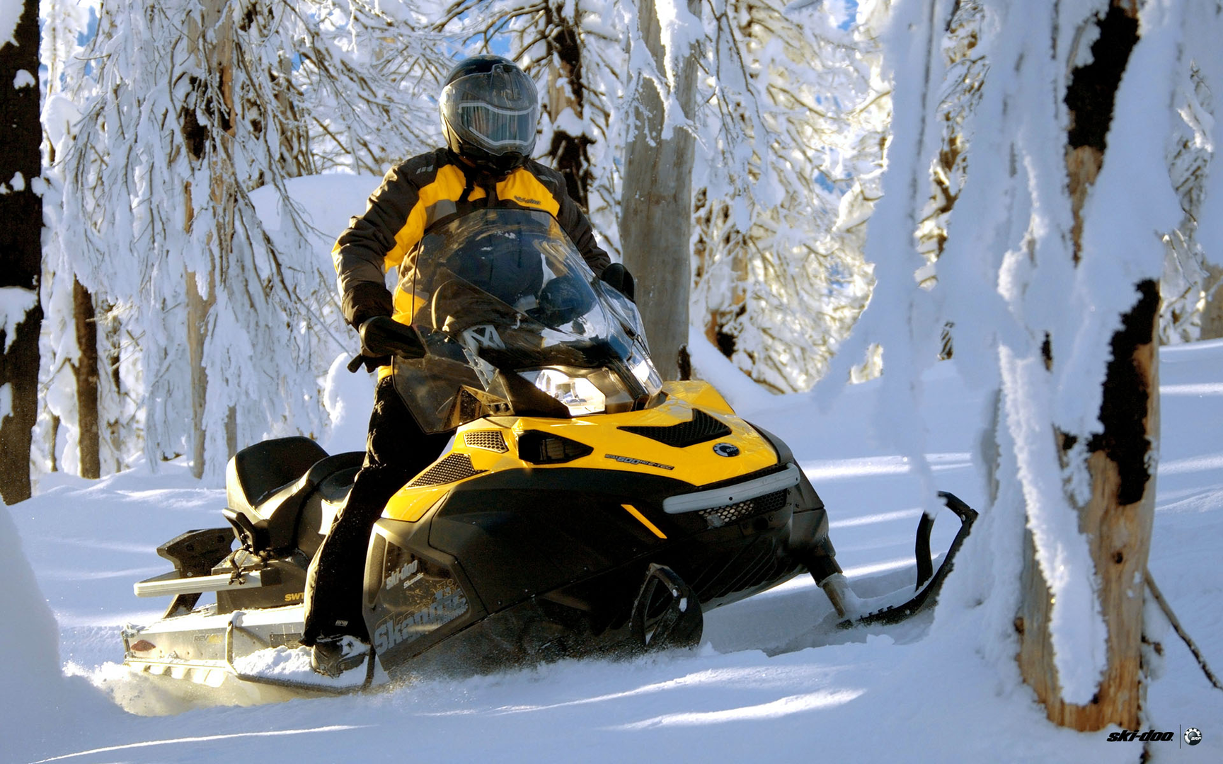 Skandic SWT 550. BRP Skandic 600. Ski Doo Skandic. БРП Скандик 550. Ski doo 600 e tec