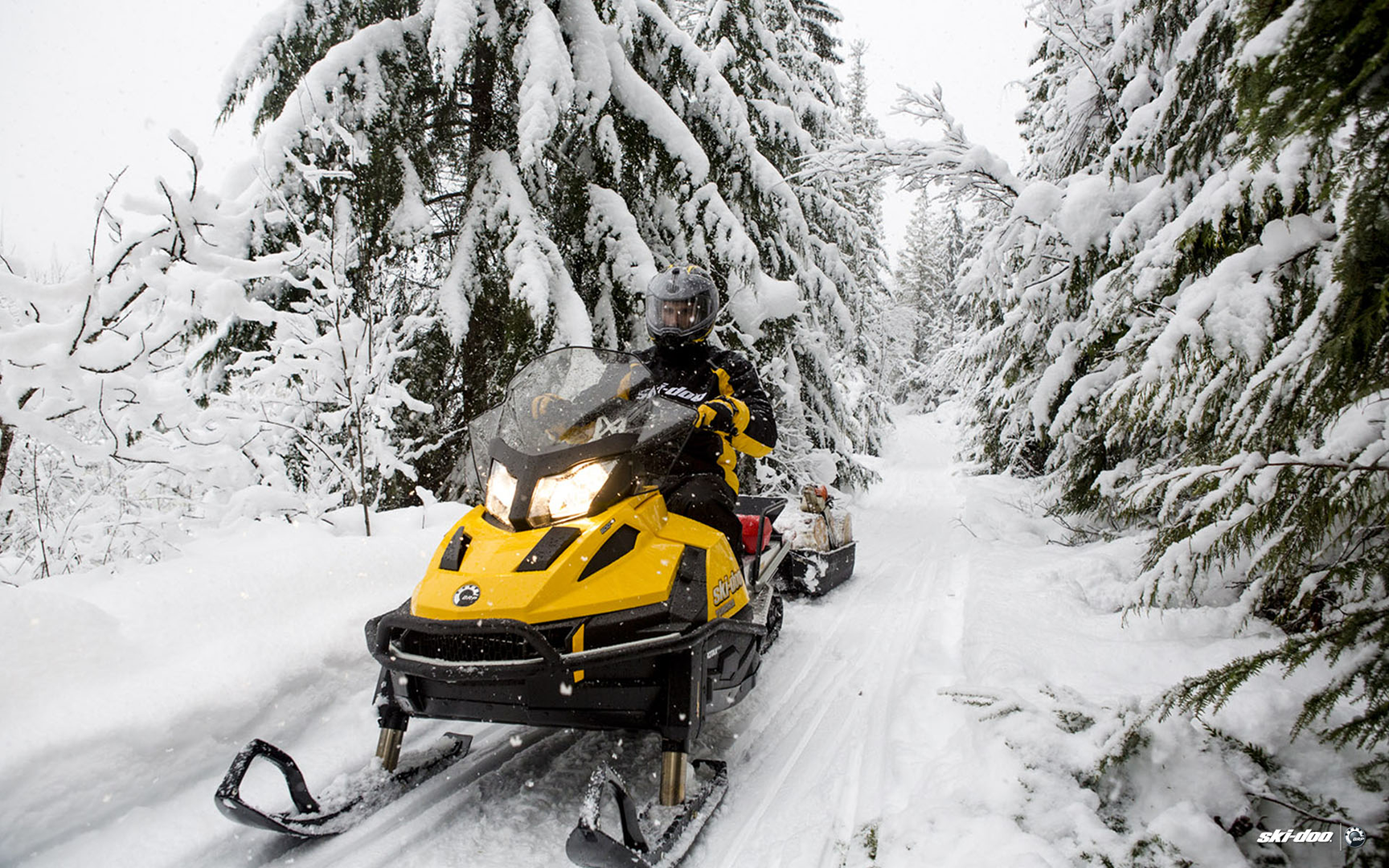 Ski doo scandic