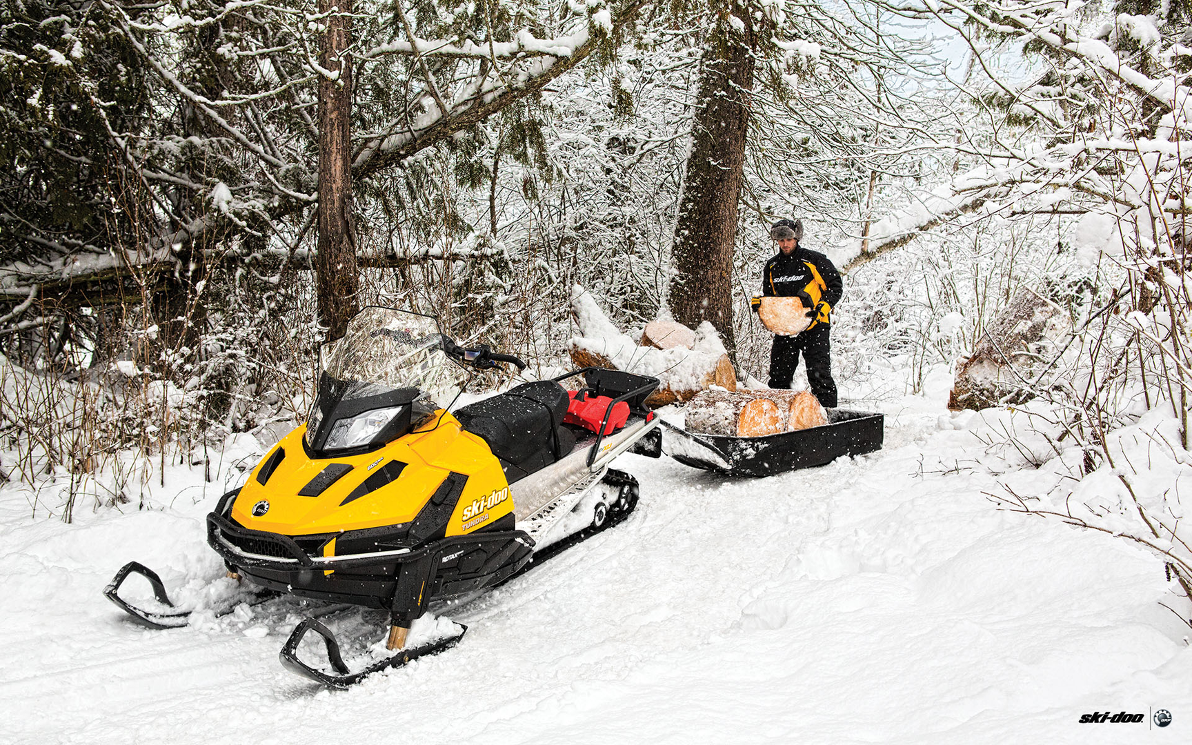 Ski Doo Tundra 600 Ace. Ski Doo Tundra 550f. Ski Doo Tundra Sport 550. Ski-Doo Tundra lt 600 Ace. Тундра лт