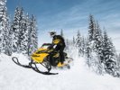 RENEGADE Backcountry-X 800 E-TEC_gallery_0