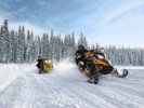 RENEGADE Backcountry-X 800 E-TEC_gallery_4